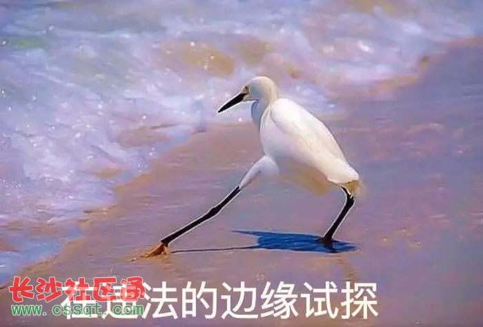 c鿴D